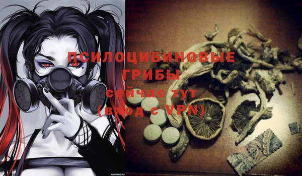 гашик Алапаевск